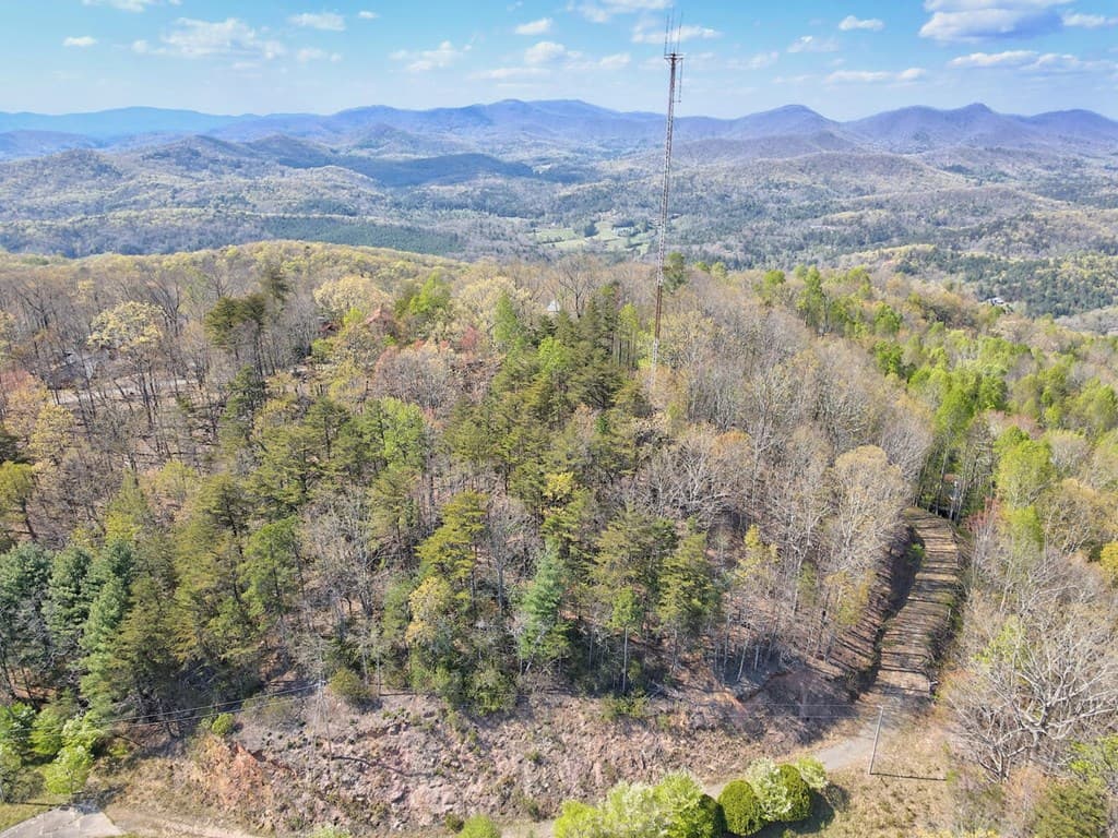 Lot 36 Moosilaukee Drive, Mineral Bluff GA 30559 - Photo