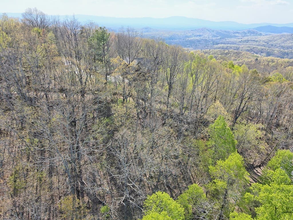 Lot 36 Moosilaukee Drive, Mineral Bluff GA 30559 - Photo