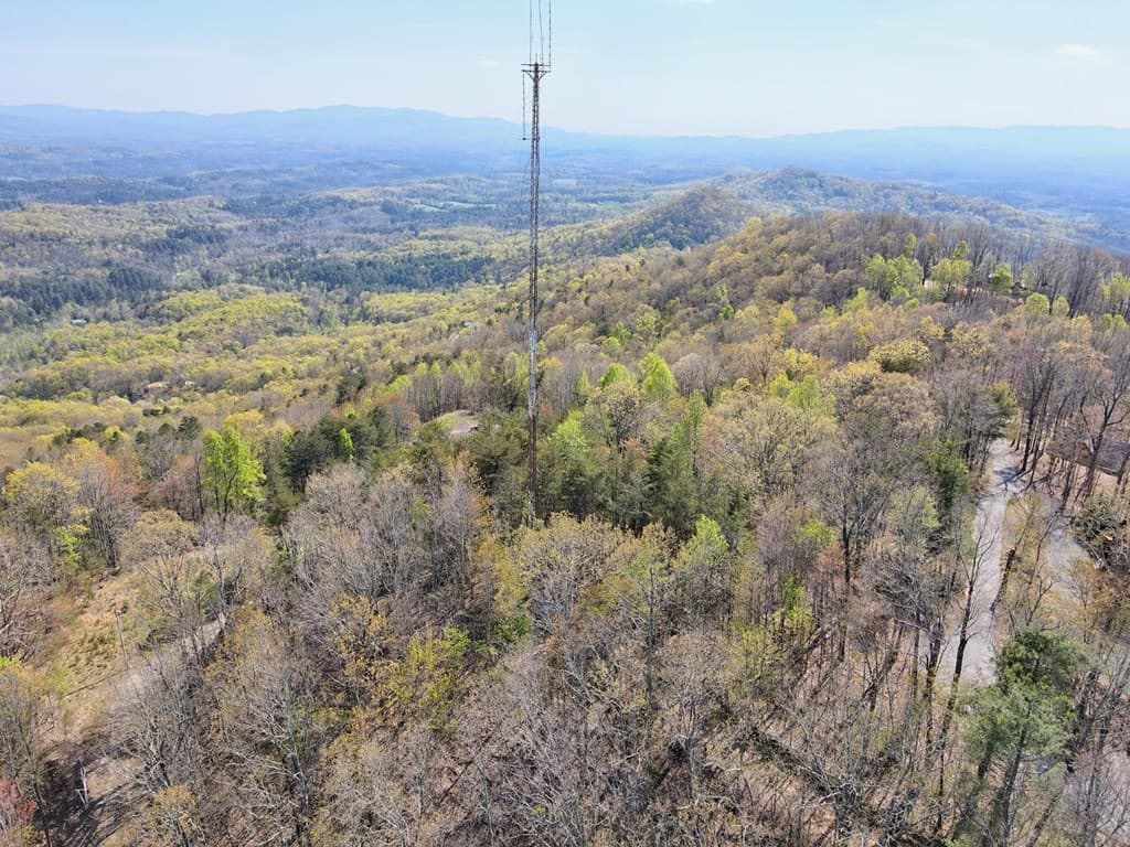 Lot 36 Moosilaukee Drive, Mineral Bluff GA 30559 - Photo