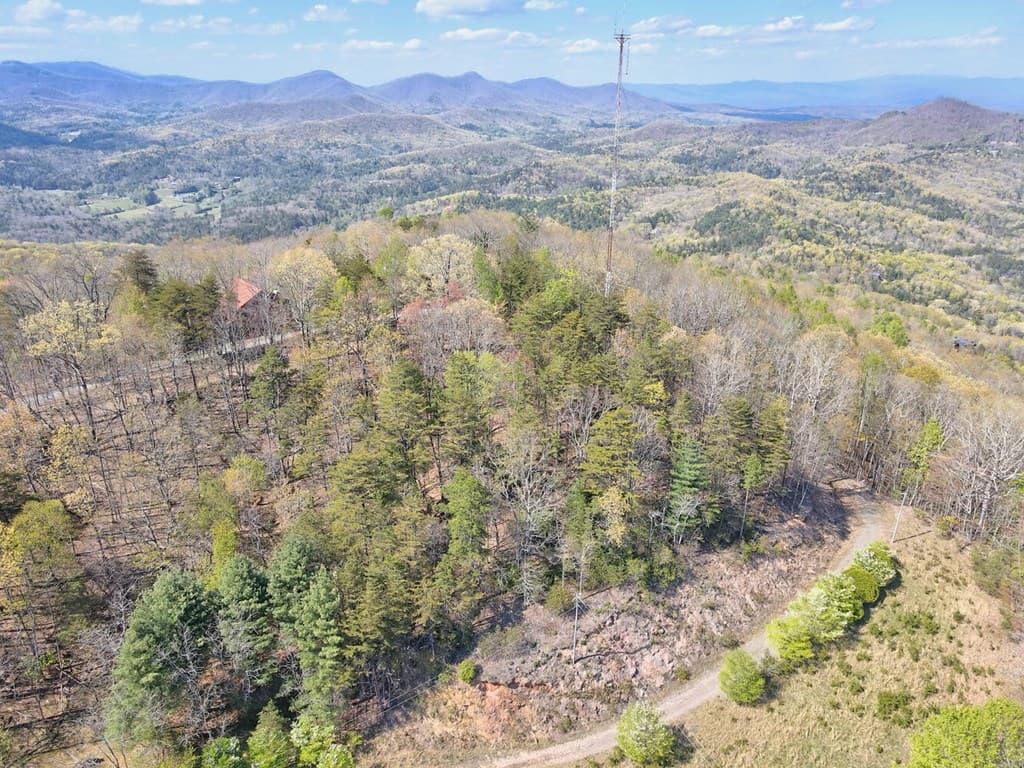 Lot 36 Moosilaukee Drive, Mineral Bluff GA 30559 - Photo
