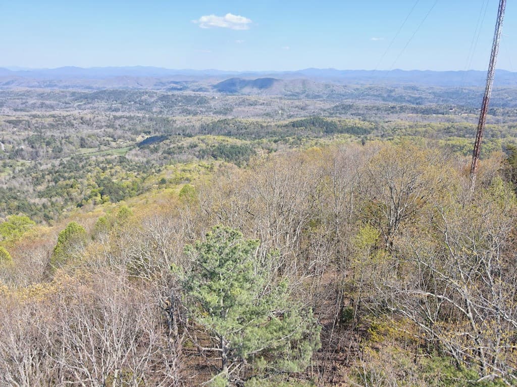 Lot 36 Moosilaukee Drive, Mineral Bluff GA 30559 - Photo