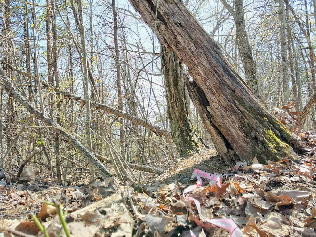 Lot 36 Moosilaukee Drive, Mineral Bluff GA 30559 - Photo