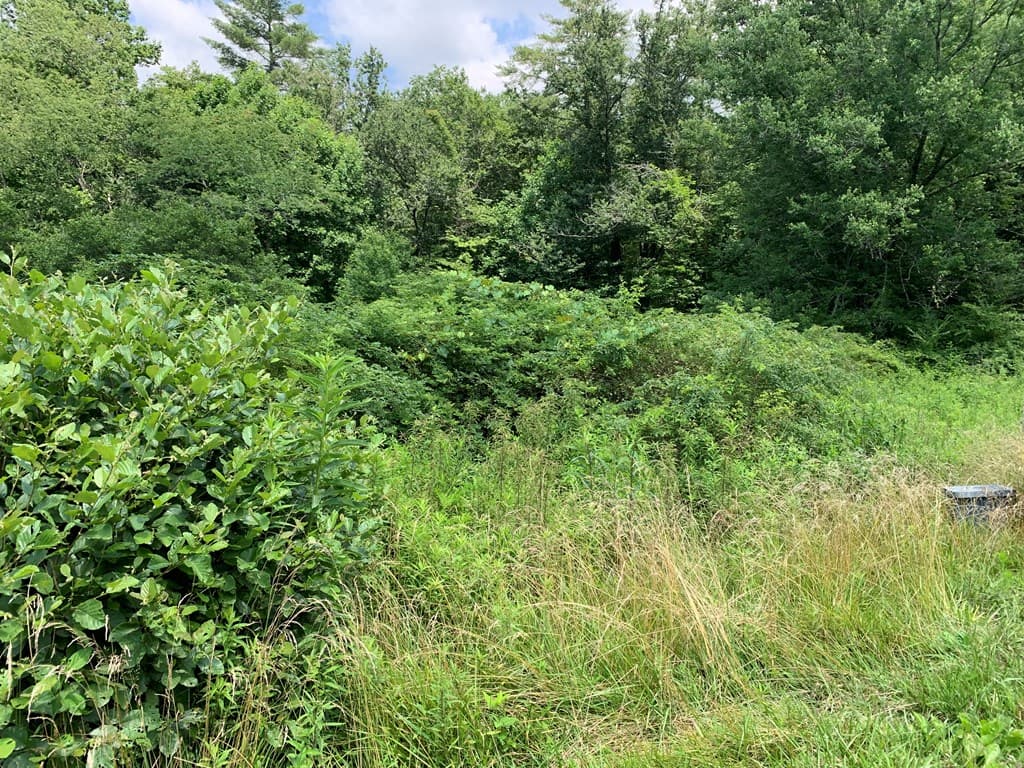 Lot 57 Rainy Farm Road, Murphy NC 28906 - Photo