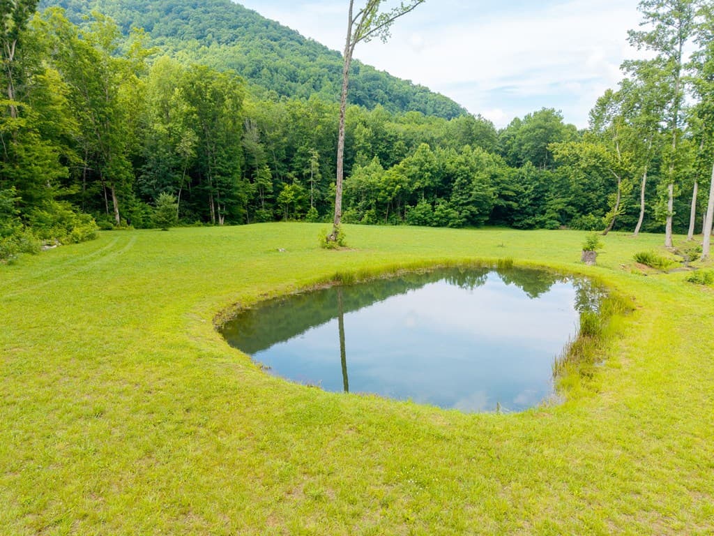 1449 Muskrat Creek Road, Hayesville NC 28904 - Photo