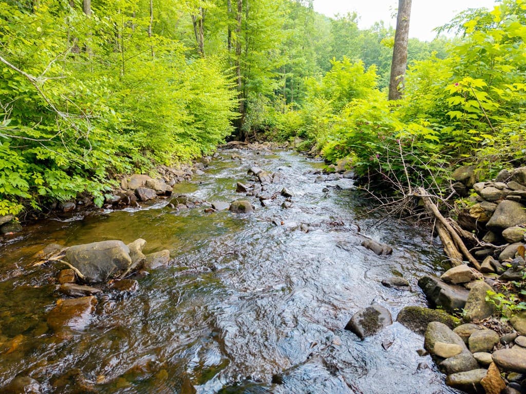 1449 Muskrat Creek Road, Hayesville NC 28904 - Photo