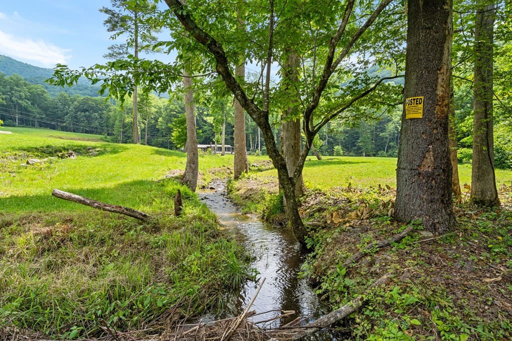 1449 Muskrat Creek Road, Hayesville NC 28904 - Photo
