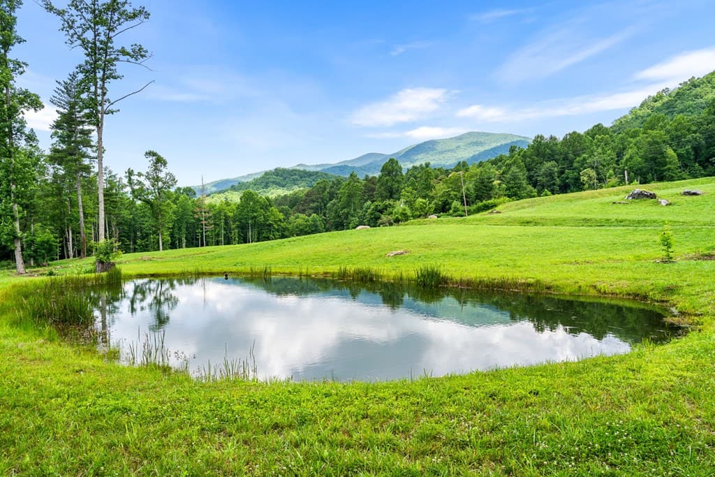 1449 Muskrat Creek Road, Hayesville NC 28904 - Photo