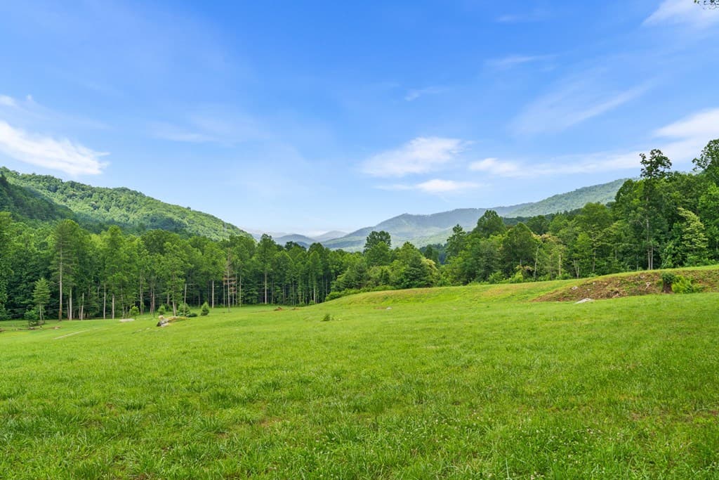 1449 Muskrat Creek Road, Hayesville NC 28904 - Photo