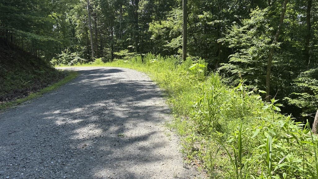 LOT 780 Omen Circle, Ellijay GA 30540 - Photo