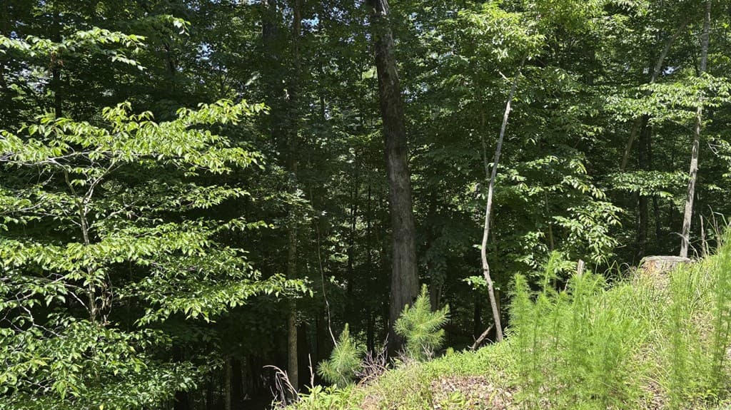 LOT 780 Omen Circle, Ellijay GA 30540 - Photo