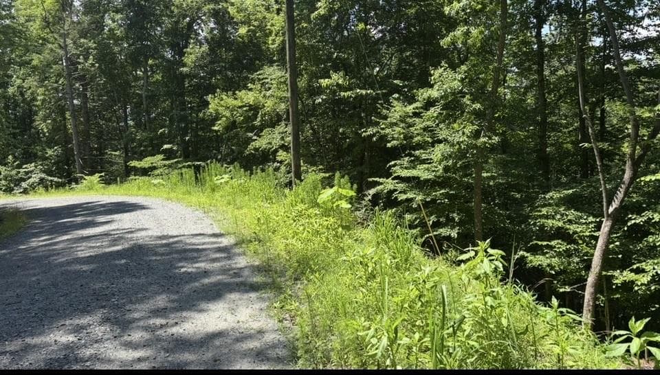 LOT 780 Omen Circle, Ellijay GA 30540 - Primary photo