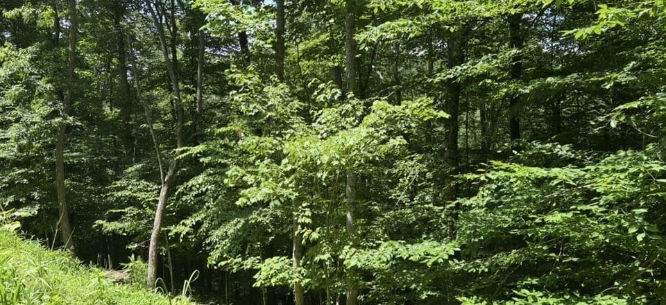 LOT 780 Omen Circle, Ellijay GA 30540 - Photo