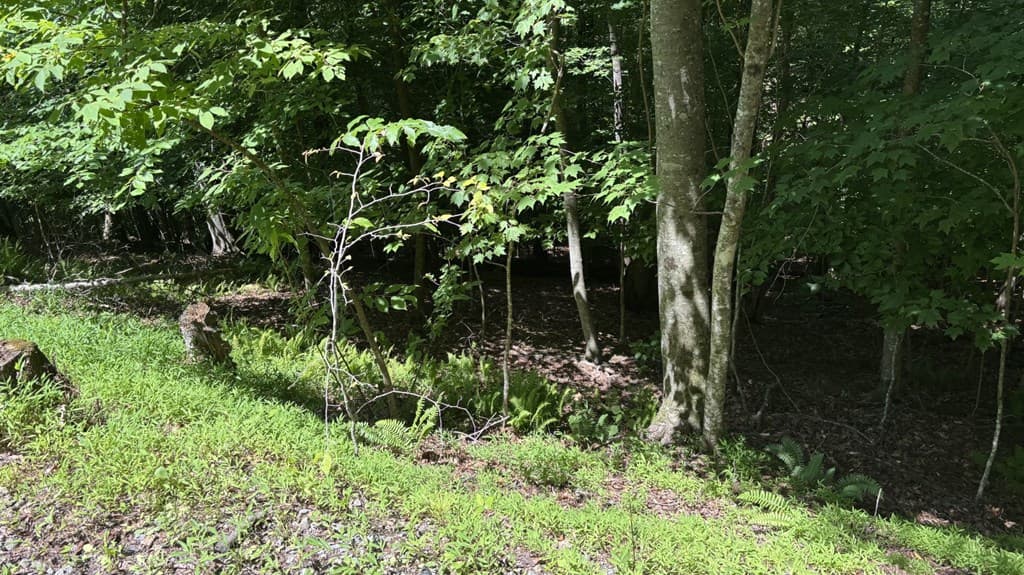 LOT 780 Omen Circle, Ellijay GA 30540 - Photo