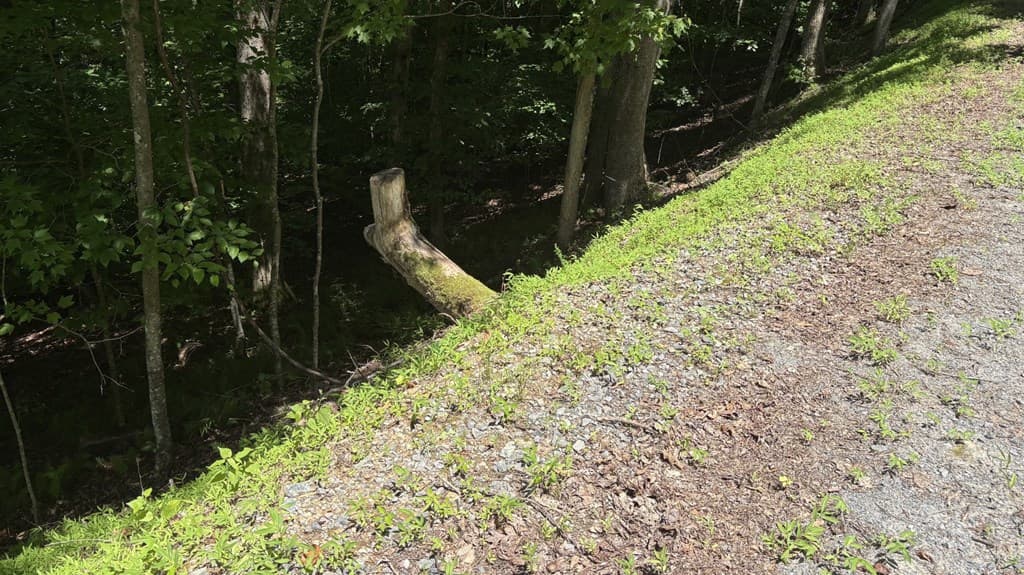 Lot 781 Omen Circle, Ellijay GA 30540 - Photo