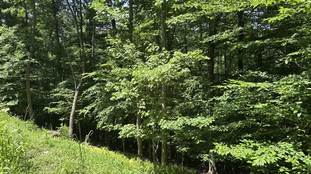 Lot 781 Omen Circle, Ellijay GA 30540 - Photo