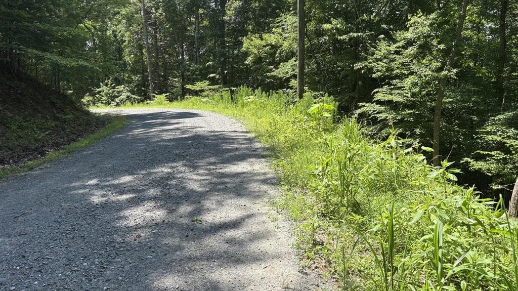 Lot 781 Omen Circle, Ellijay GA 30540 - Primary photo