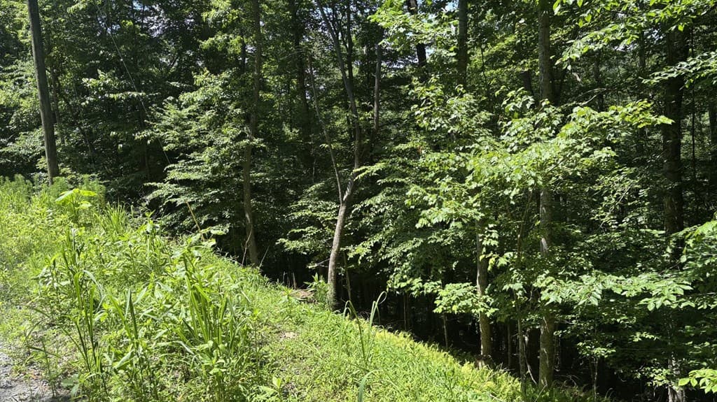 Lot 781 Omen Circle, Ellijay GA 30540 - Photo