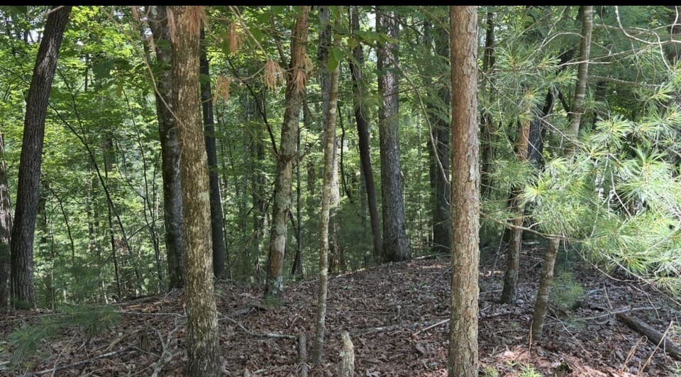 Lot 3469 Fir Lane, Ellijay GA 30540 - Photo