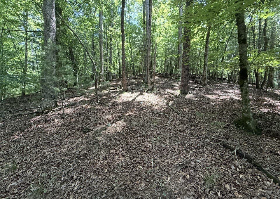 Lot 3469 Fir Lane, Ellijay GA 30540 - Photo