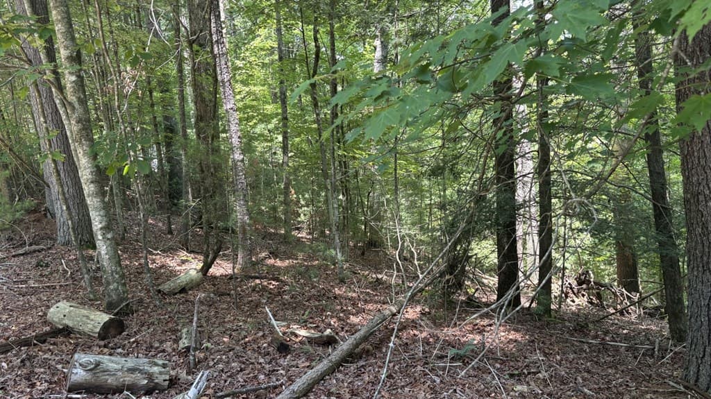 Lot 3469 Fir Lane, Ellijay GA 30540 - Photo