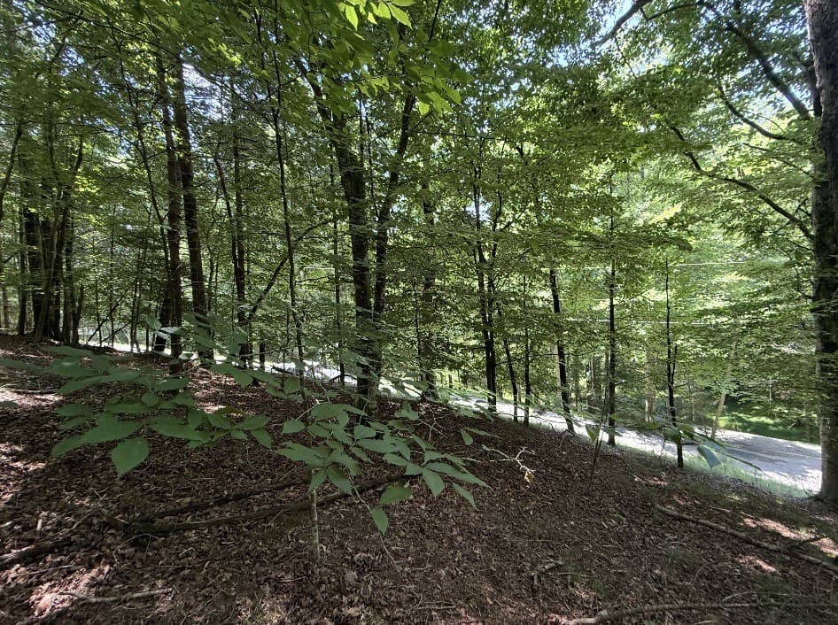 Lot 3469 Fir Lane, Ellijay GA 30540 - Photo