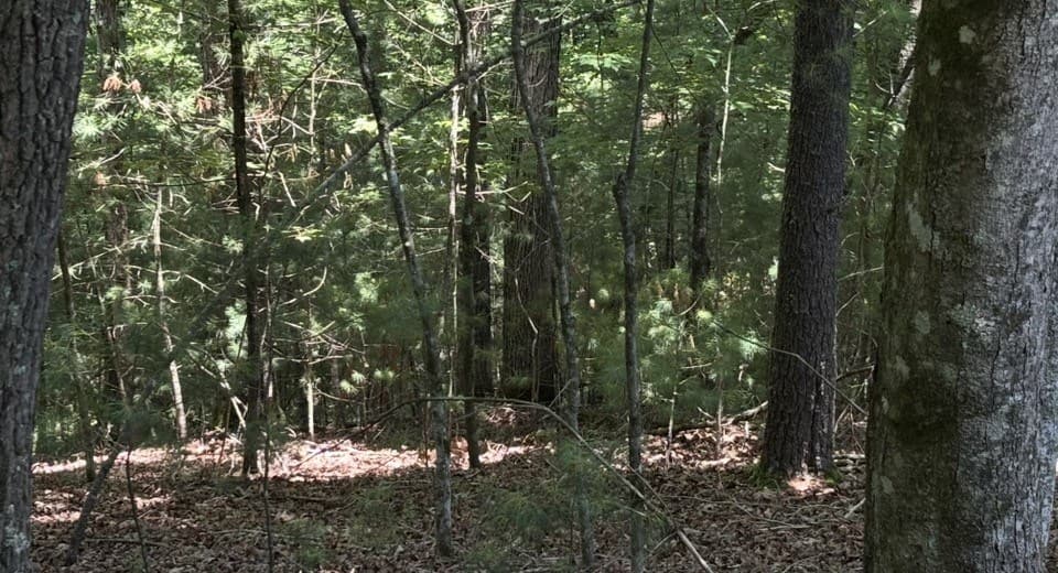 Lot 3662 Hannah Court, Ellijay GA 30540 - Photo