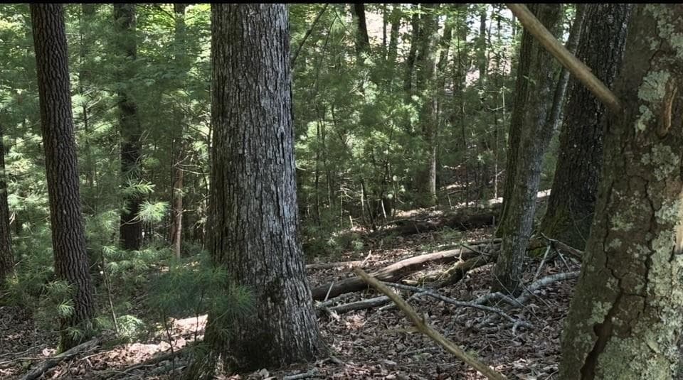 Lot 3662 Hannah Court, Ellijay GA 30540 - Primary photo