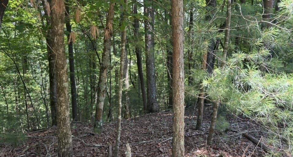 Lot 1178 Optic Court, Ellijay GA 30540 - Photo
