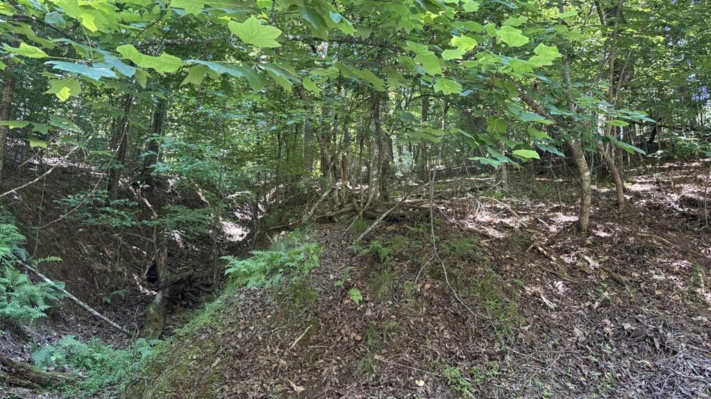 Lot 1178 Optic Court, Ellijay GA 30540 - Primary photo