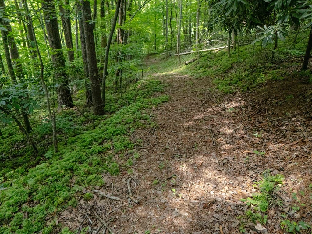 11 Treasure Lane, Blairsville GA 30512 - Photo