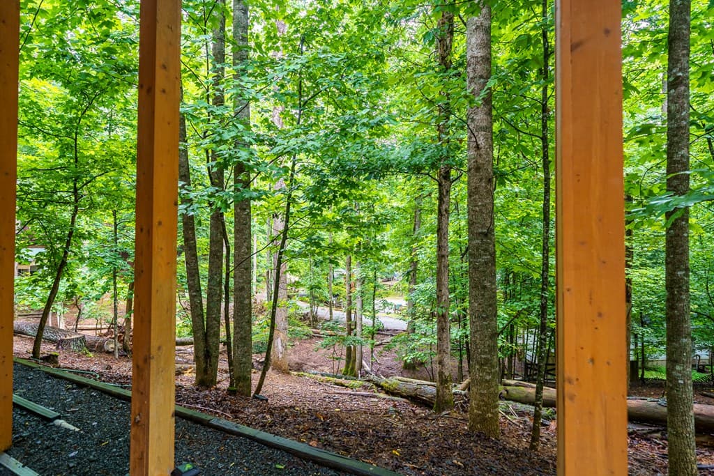 368 17th Street, Ellijay GA 30540 - Photo