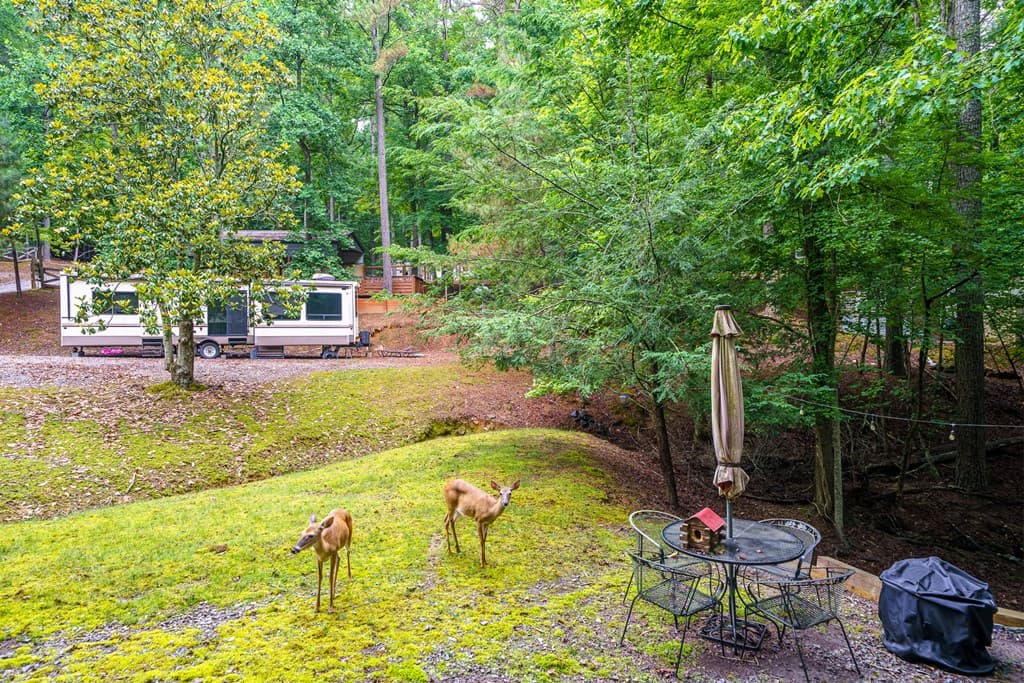 490 31st Street, Ellijay GA 30540 - Photo
