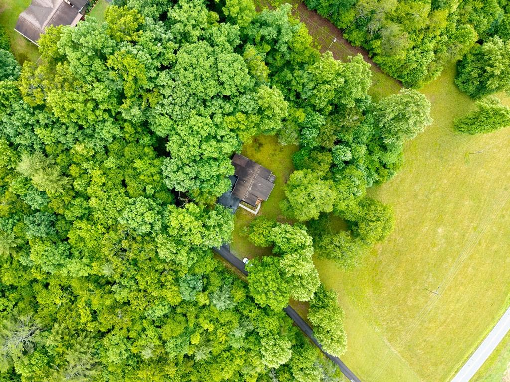 3318 Old Hwy 64e, Hayesville NC 28904 - Photo