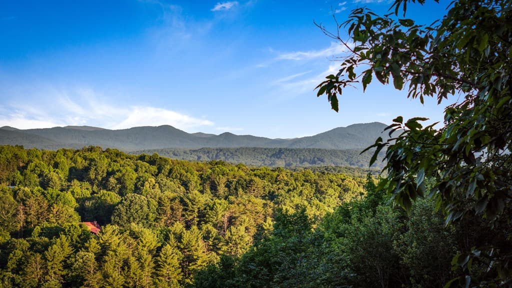 1289 My Mountain Road, Morganton GA 30560 - Photo