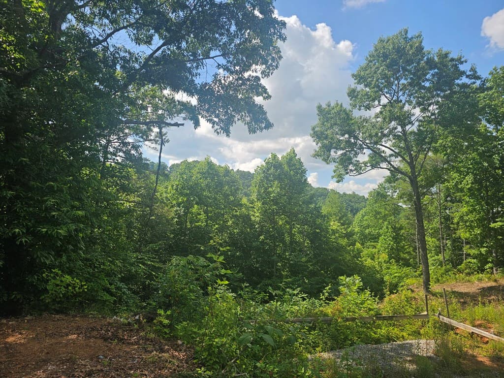Lot 45 Meadowlark Terrace, Murphy NC 28906 - Photo