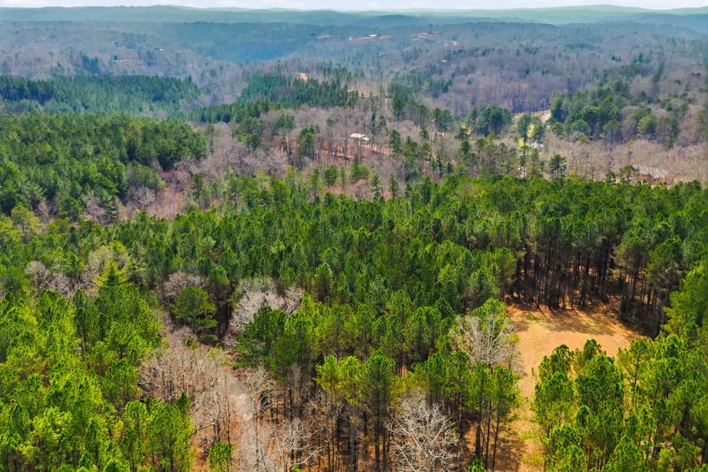 1215 Crossroads Church Road, Ellijay GA 30540 - Photo