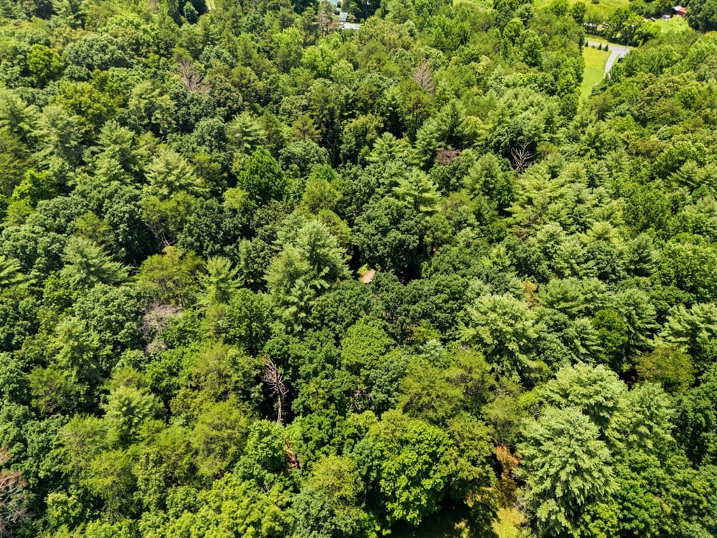 200 Artist Way, Brasstown MD 20906 - Photo