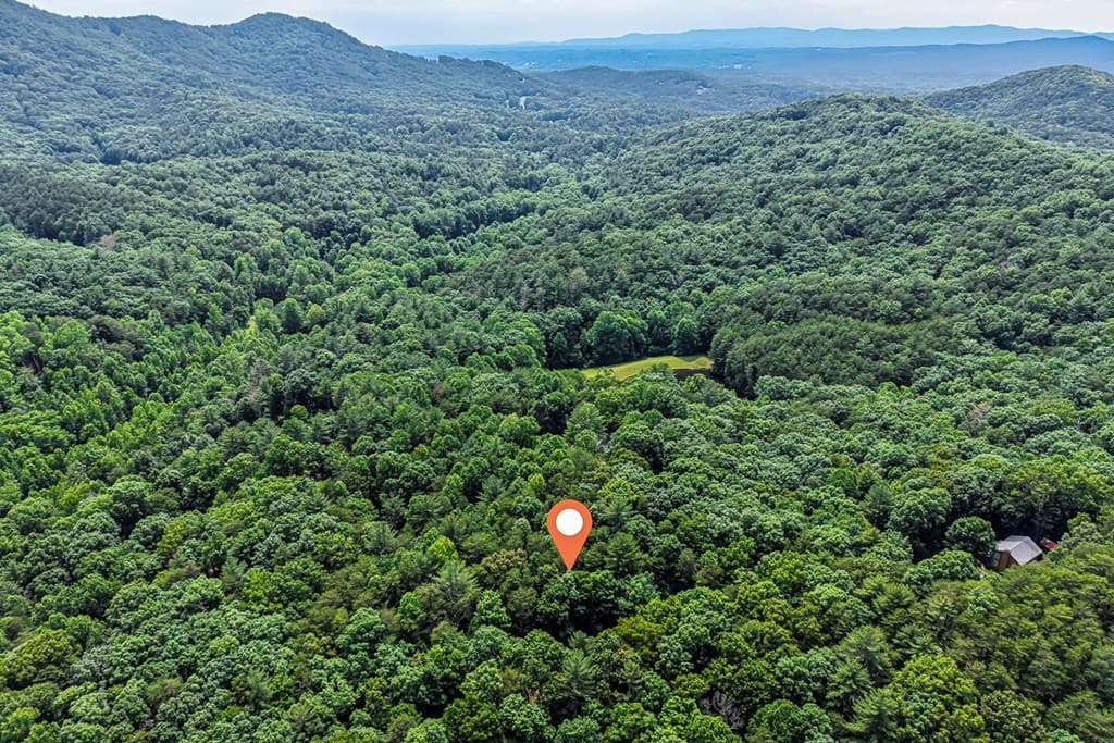 58 Peach Lane, Ellijay GA 30536 - Photo
