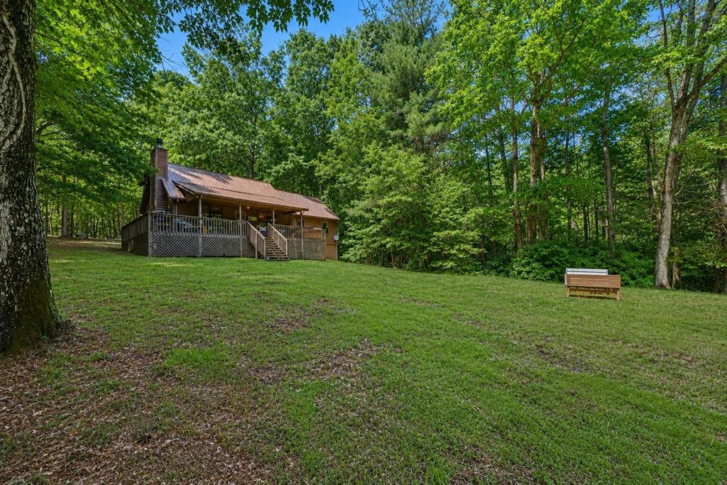 58 Peach Lane, Ellijay GA 30536 - Photo