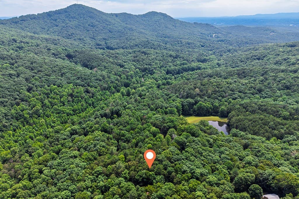 58 Peach Lane, Ellijay GA 30536 - Photo