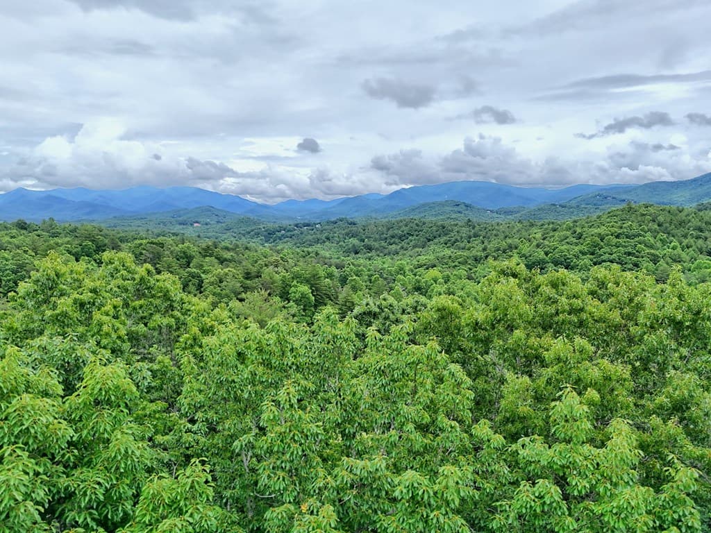 87 Greenberry Trail, Blairsville GA 30512 - Photo