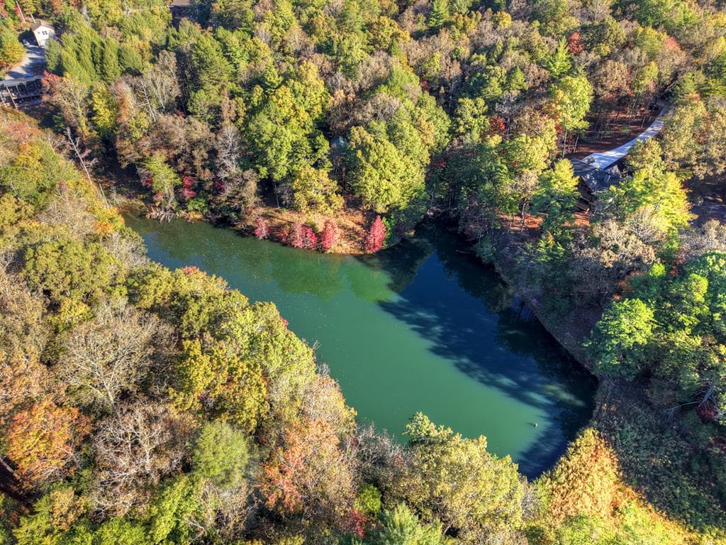 382 Pocaset Drive, Ellijay GA 30540 - Photo
