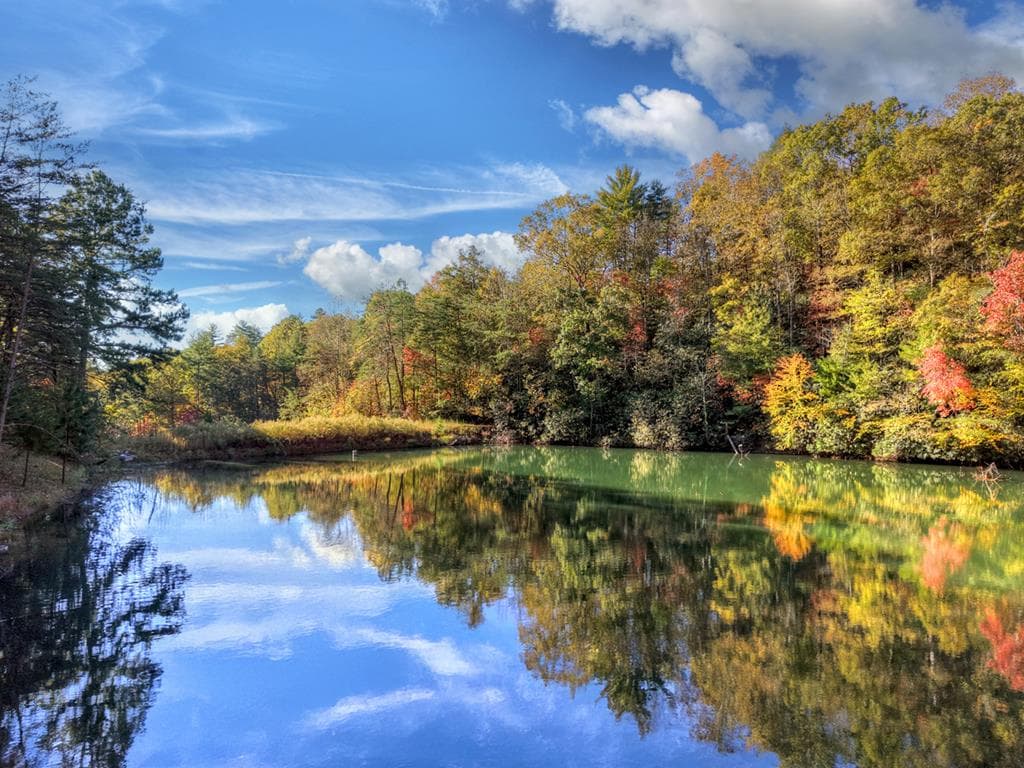 382 Pocaset Drive, Ellijay GA 30540 - Photo