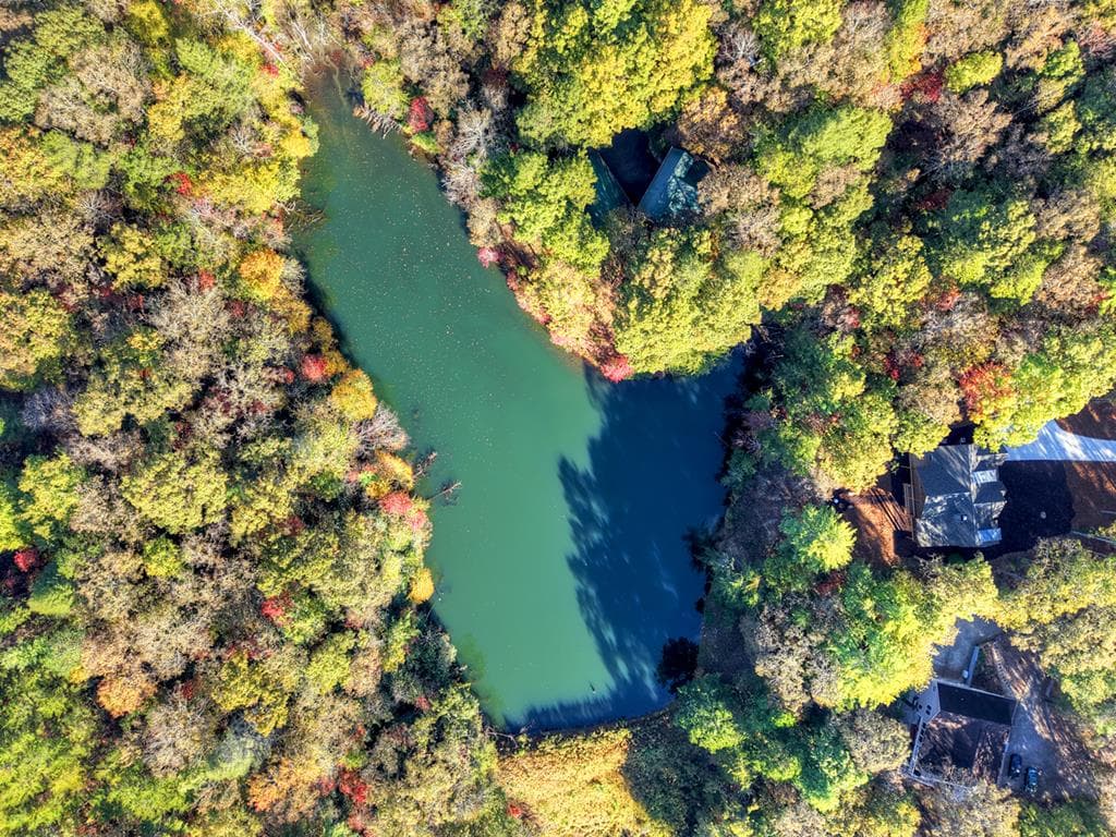 382 Pocaset Drive, Ellijay GA 30540 - Photo