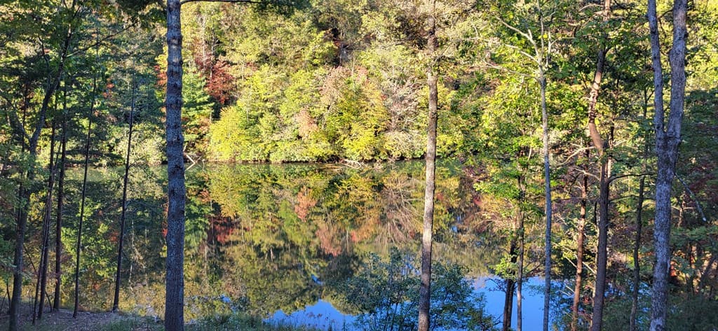 382 Pocaset Drive, Ellijay GA 30540 - Photo