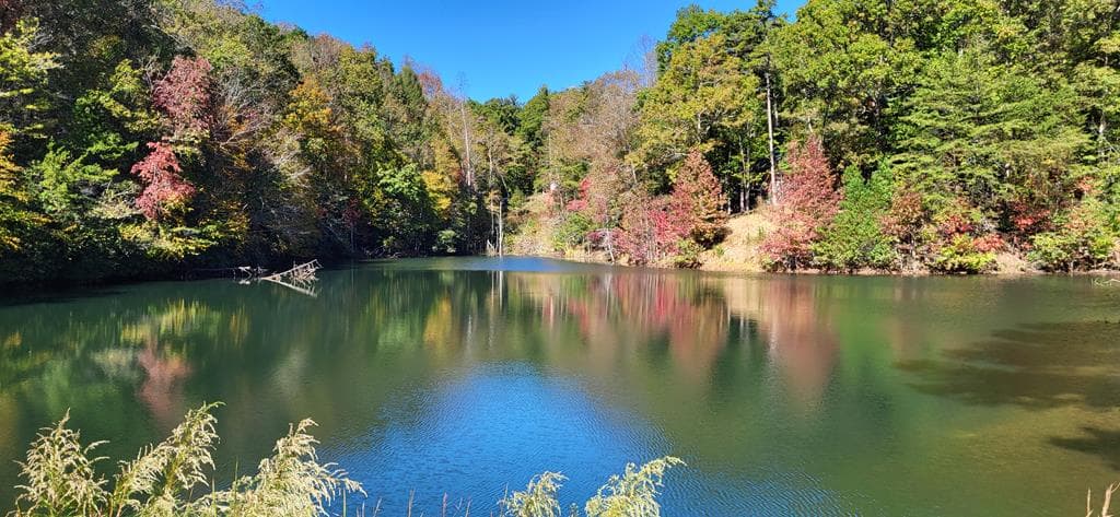 382 Pocaset Drive, Ellijay GA 30540 - Photo
