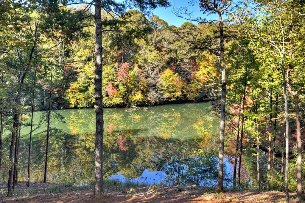 382 Pocaset Drive, Ellijay GA 30540 - Photo