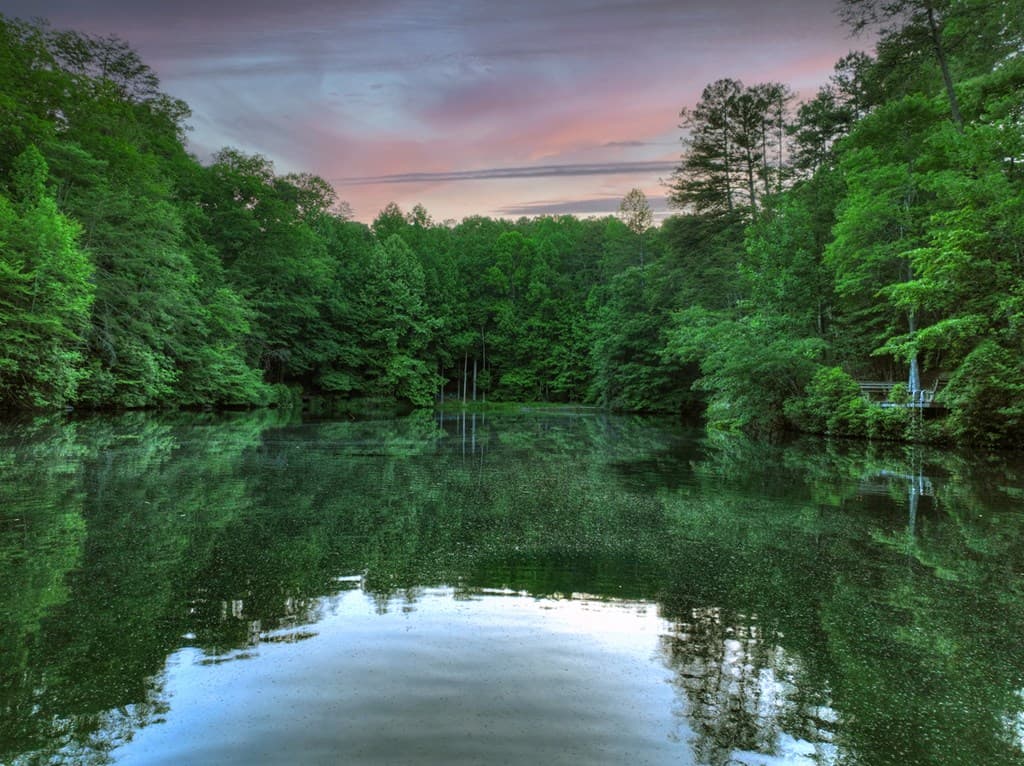 932 Granny Branch Drive, Blue Ridge GA 30513 - Photo