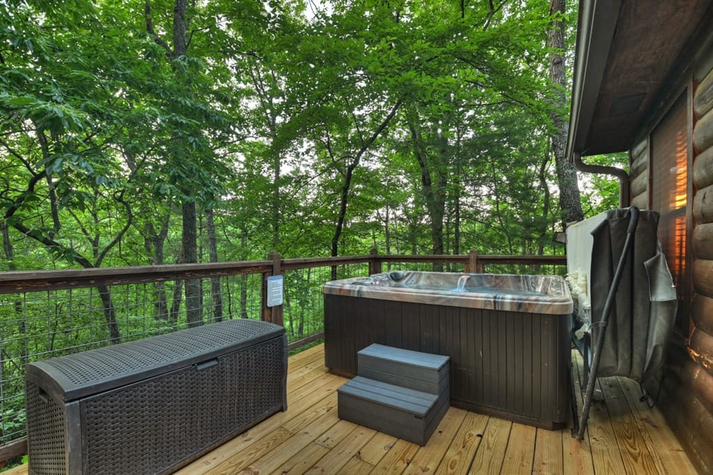 932 Granny Branch Drive, Blue Ridge GA 30513 - Photo