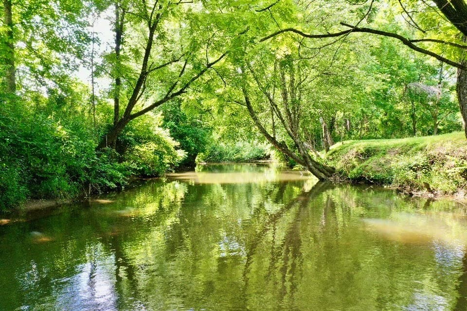 6389 Old Hwy 64 W, Warne NC 28909 - Photo
